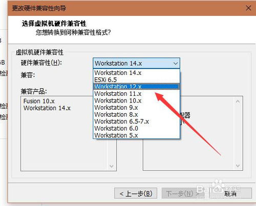 图片[3]-VMware升级到14版本虚拟机开始黑屏解决办法-0757it.cn